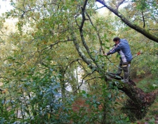 En el bosque